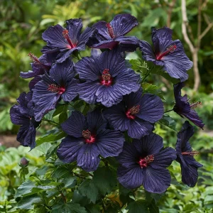 Гибискус Мэджик Момент купить по цене от 699р. в интернет-магазине «Посадика» с доставкой почтой в в Певеке и по всей России – [изображение №1].